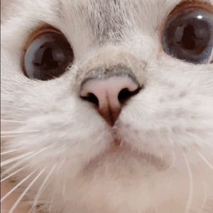 Meet your Posher, Win de e